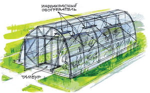 Обслуживание теплицы